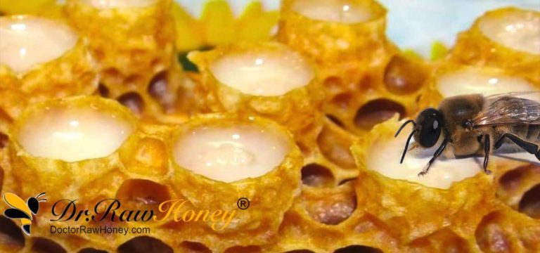 what-is-royal-jelly-10-royal-treatments-of-royal-jelly-dr-raw-honey