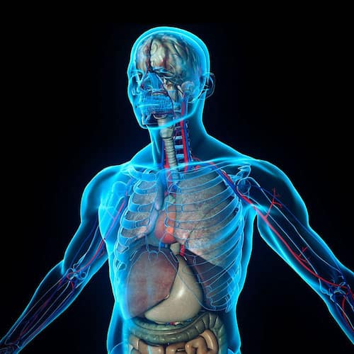 Ionic-Trace-Minerals-body