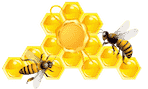 Raw-Honey-Bee